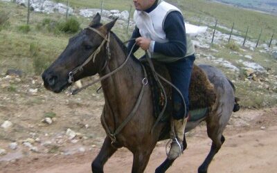 La Marcha del Caballo Criollo en Uruguay