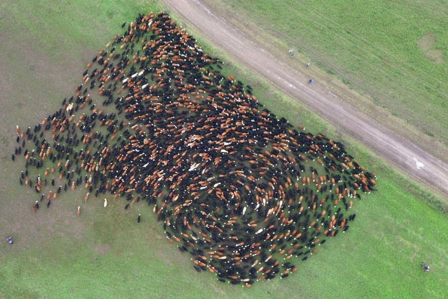Año a año, nuevas pruebas